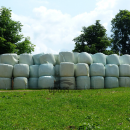 Silage film