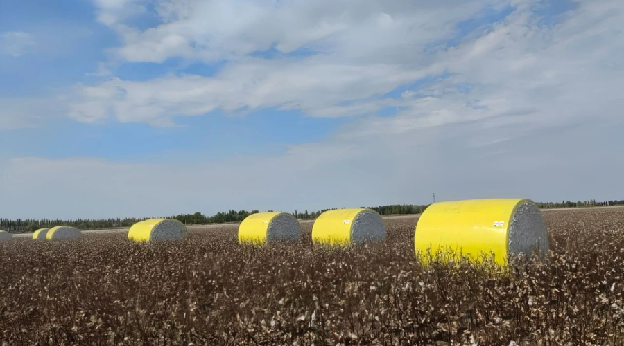 Cotton baling films facilitate the efficient harvesting of cotton in Xinjiang.